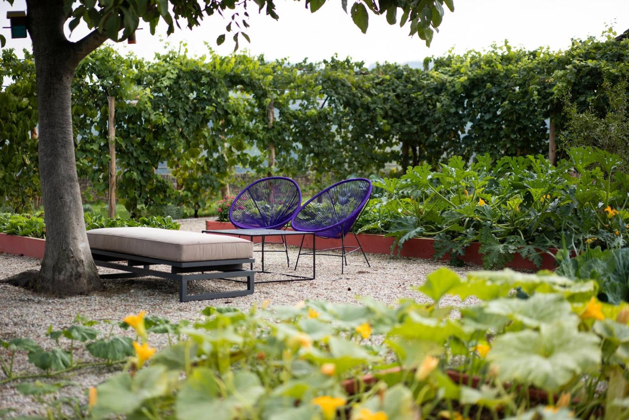 Vigne Di Fagnano 1709 Eco Relais Guest House Santo Stefano Belbo Bagian luar foto